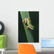 Pacific Tree Frog Wall Mural
