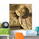 A Defensive Mojave Green Rattlesnake Wall Mural