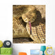 A Defensive Mojave Green Rattlesnake Wall Mural