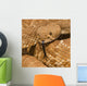 Red-Diamond Rattlesnake, Riverside County, California, Usa Wall Mural