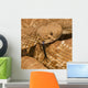 Red-Diamond Rattlesnake, Riverside County, California, Usa Wall Mural