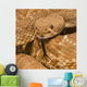 Red-Diamond Rattlesnake, Riverside County, California, Usa Wall Mural