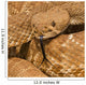 Red-Diamond Rattlesnake, Riverside County, California, Usa Wall Mural