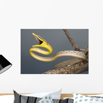 Brown Vine Snake Wall Mural shown on a wall