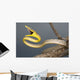 Brown Vine Snake, Wall Mural