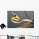 Brown Vine Snake, Wall Mural
