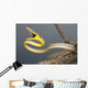 Brown Vine Snake, Wall Mural