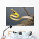 Brown Vine Snake, Wall Mural