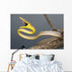 Brown Vine Snake, Wall Mural