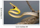Brown Vine Snake, Wall Mural