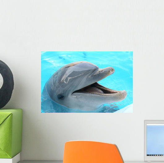 dolphin Wall Mural