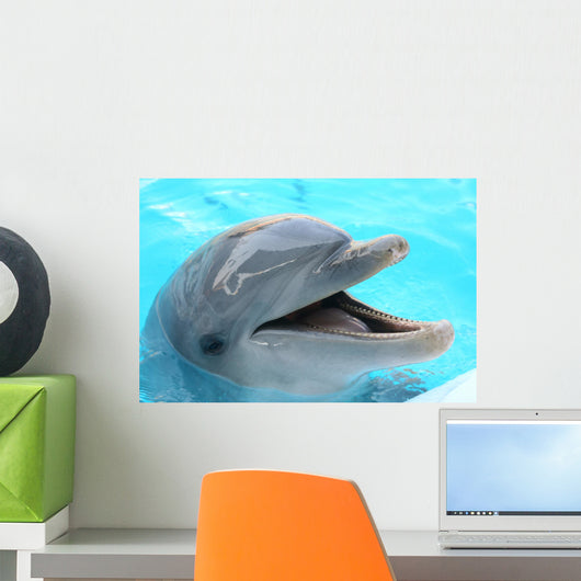 dolphin Wall Mural