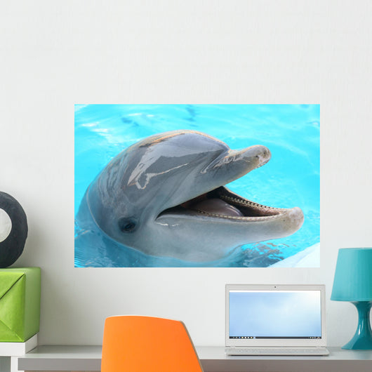 dolphin Wall Mural
