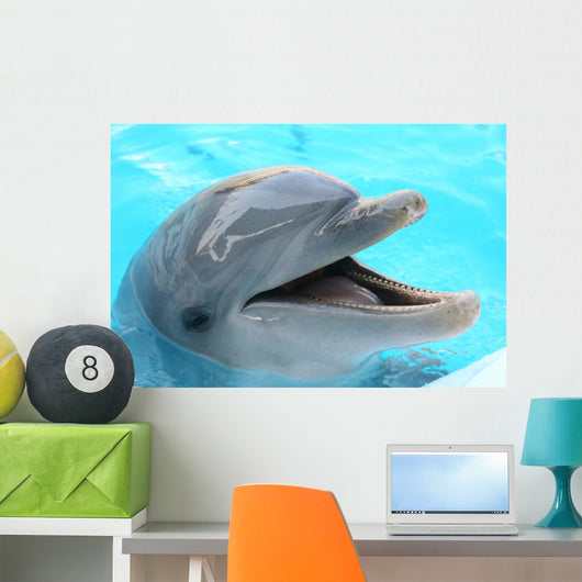 dolphin Wall Mural