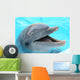 dolphin Wall Mural