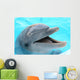 dolphin Wall Mural