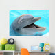 dolphin Wall Mural