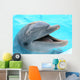 dolphin Wall Mural