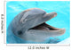 dolphin Wall Mural