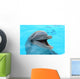 dolphin Wall Mural