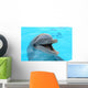 dolphin Wall Mural