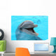 dolphin Wall Mural