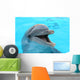 dolphin Wall Mural