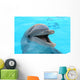 dolphin Wall Mural