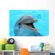 dolphin Wall Mural
