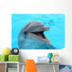 dolphin Wall Mural