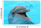 dolphin Wall Mural