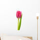 Single Pink Tulip Wall Decal