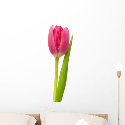 Single Pink Tulip Wall Decal shown on a wall