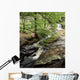 Kilbride, Co Antrim, Ireland Wall Mural