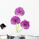 Three Alliums Ornamental Onions Wall Decal