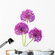 Three Alliums Ornamental Onions Wall Decal