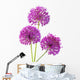 Three Alliums Ornamental Onions Wall Decal