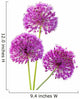Three Alliums Ornamental Onions Wall Decal