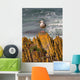 A Herring Gull, Colonsay, Scotland Wall Mural