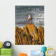 A Herring Gull, Colonsay, Scotland Wall Mural