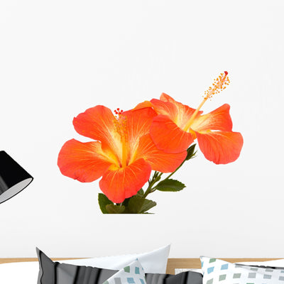 Orange Hibiscus Isoleted Wall Decal shown on a wall