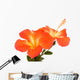 Orange Hibiscus Isoleted Wall Decal