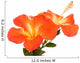 Orange Hibiscus Isoleted Wall Decal