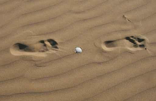 Footprints Sand Wall Decal Design 2