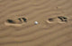 Footprints Sand Wall Decal Design 2