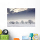 Snow Covered Trees And Field, Northumberland, England Wall Mural