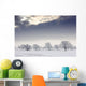 Snow Covered Trees And Field, Northumberland, England Wall Mural