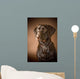 Chocolate Labrador Retriever Wall Mural