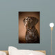 Chocolate Labrador Retriever Wall Mural