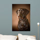 Chocolate Labrador Retriever Wall Mural